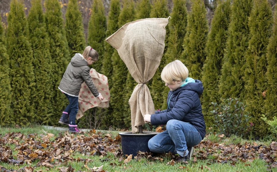 Gartencenter Mauch Frische Pflanzen aus Hilzingen
