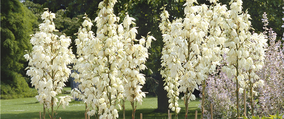 IM SOMMERGARTEN! IM SOMMERGARTEN!