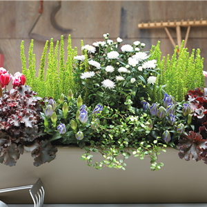 DER HERBST IM KASTEN! DER HERBST IM KASTEN!