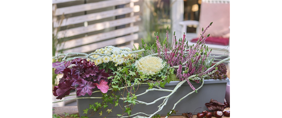 DER HERBST IM KASTEN! DER HERBST IM KASTEN!