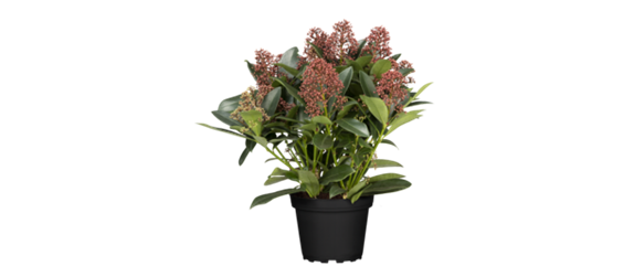 ES WEIHNACHTET AUF BALKON & TERRASSE! ES WEIHNACHTET AUF BALKON & TERRASSE!