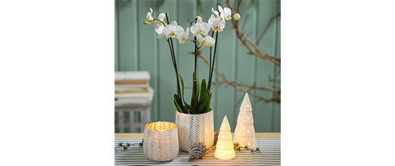 MODERNE WEIHNACHTEN!  MODERNE WEIHNACHTEN!