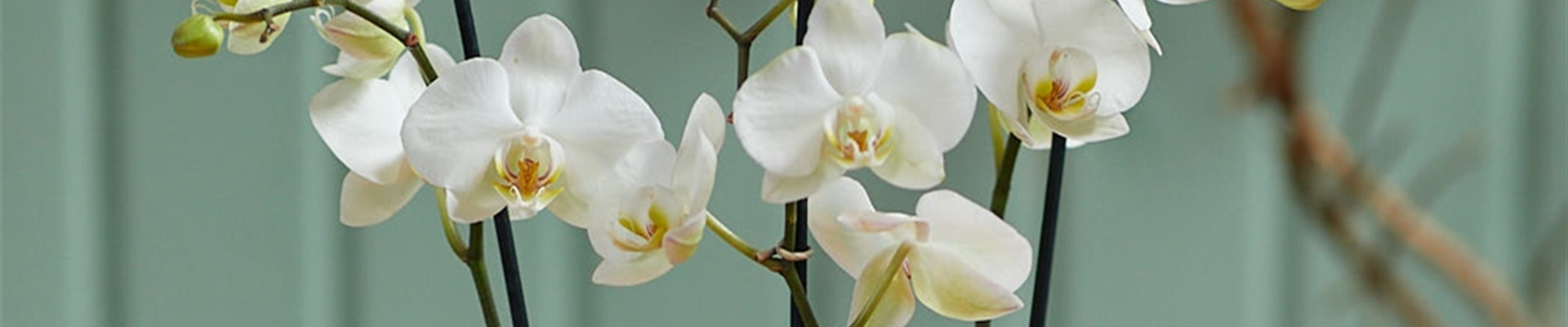 MODERNE WEIHNACHTEN!