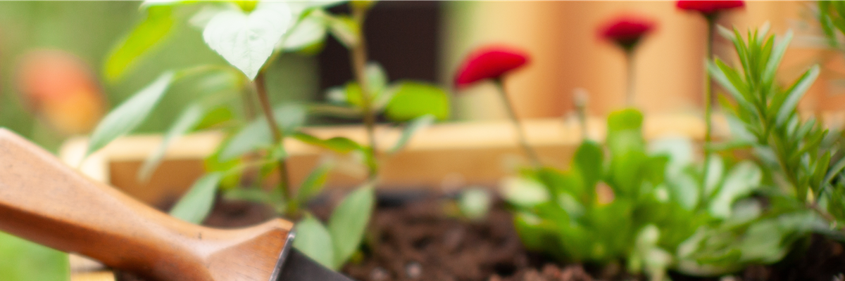 Buch des Monats: Januar!