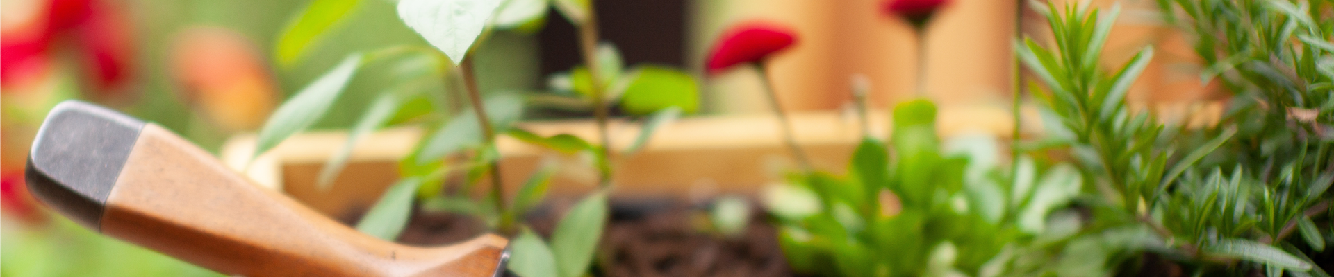 Buch des Monats: Januar!