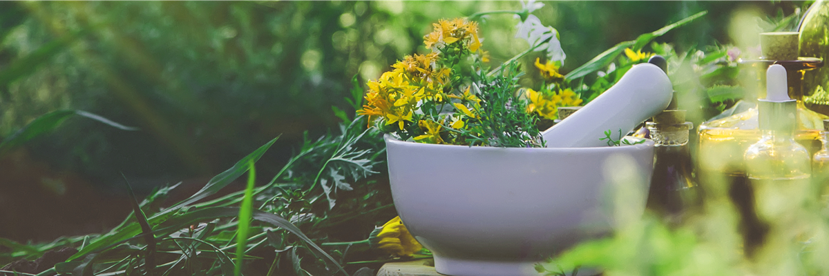 Buch des Monats: März!