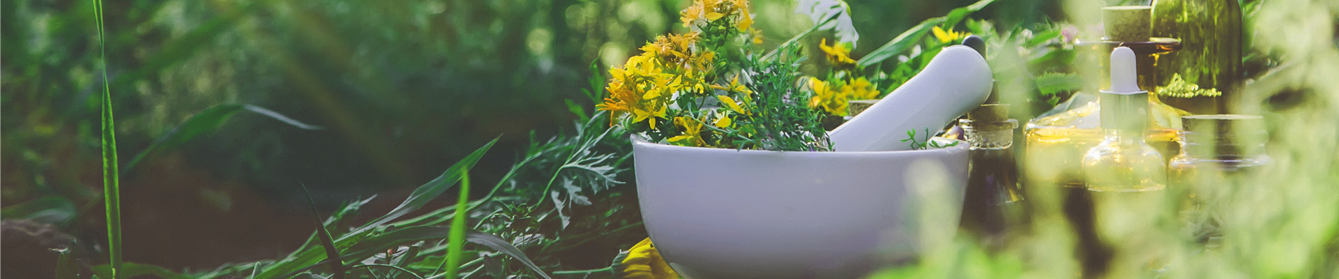 Buch des Monats: März!