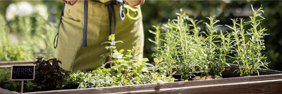 Buch des Monats: April!