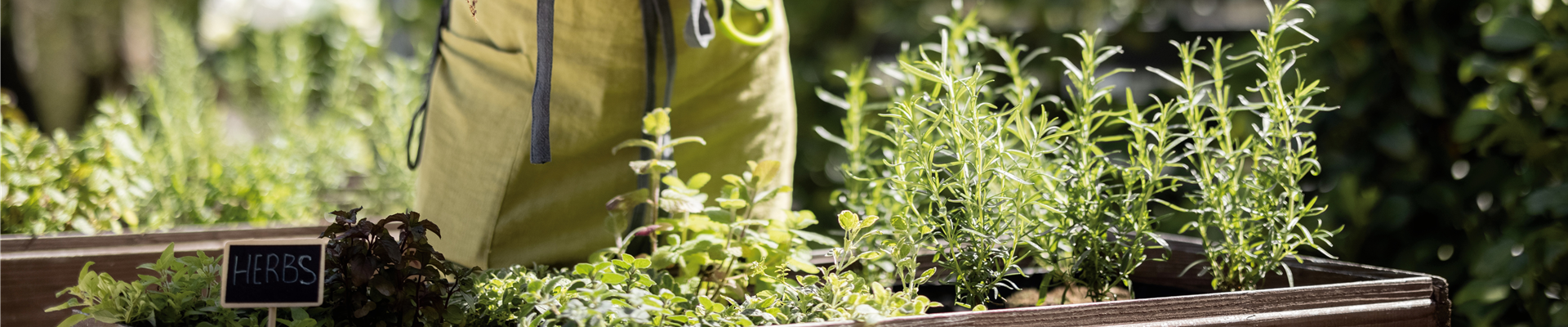 Buch des Monats: April!