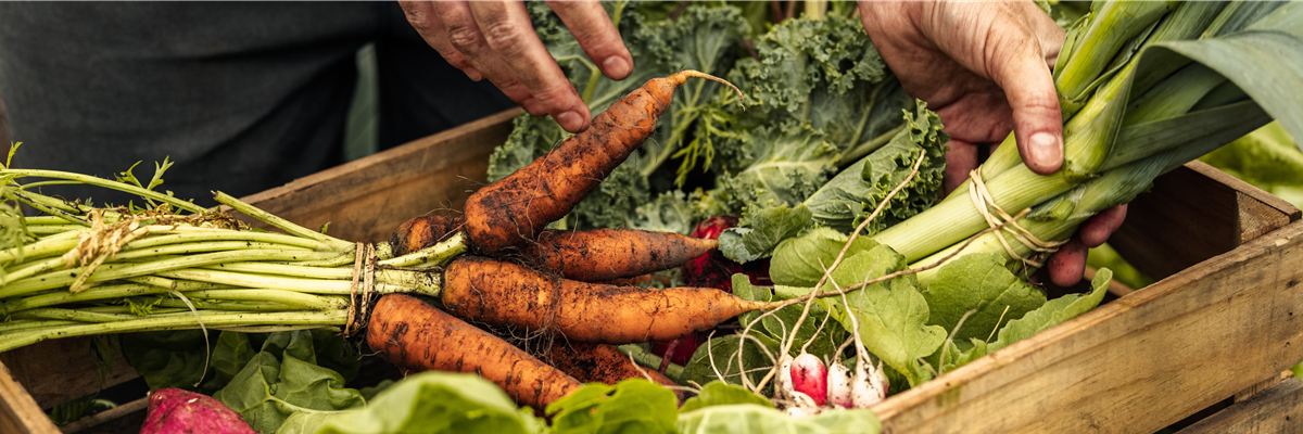 Buch des Monats: Juni!