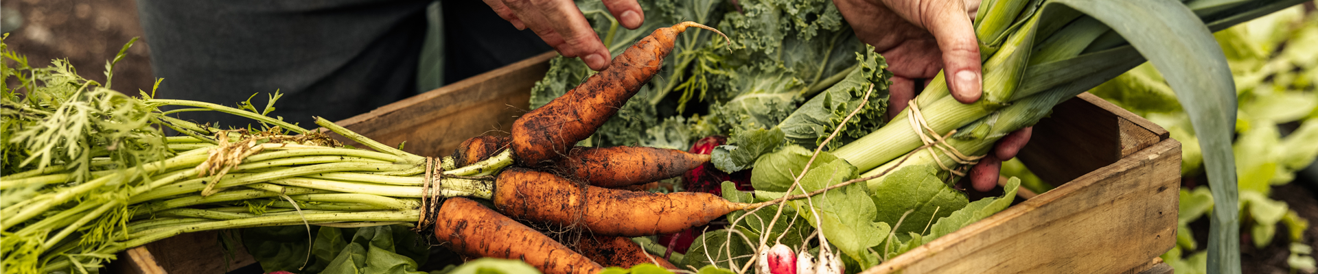 Buch des Monats: Juni!