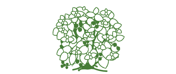 OBSTGARTEN! OBSTGARTEN!