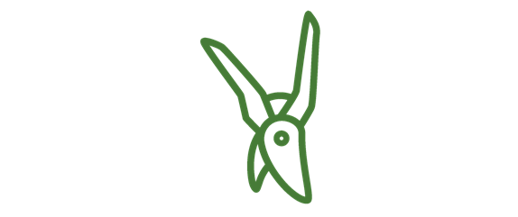 OBSTGARTEN! OBSTGARTEN!