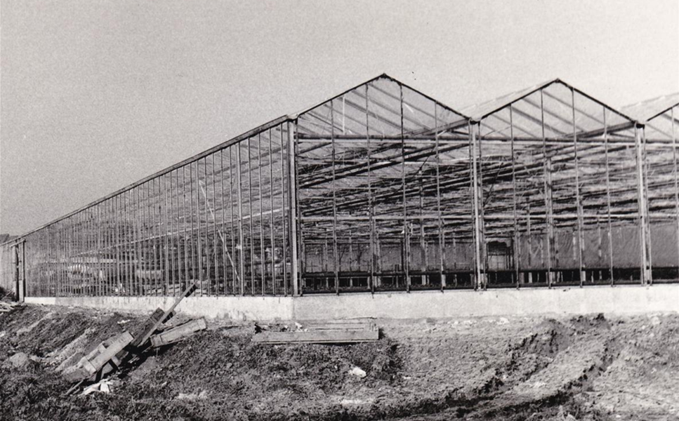 BAUBEGINN IN HILZINGEN 1974 - EIN NEUES KAPITEL BEGINNT BAUBEGINN IN HILZINGEN 1974 - EIN NEUES KAPITEL BEGINNT