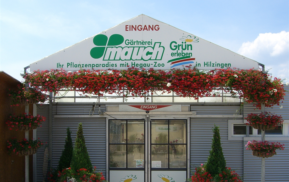 50_Jahre_Mauch_in_Hilzingen_02.png
