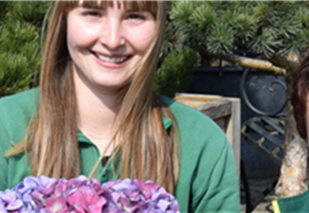 UMTOPF- & PFLANZSERVICE