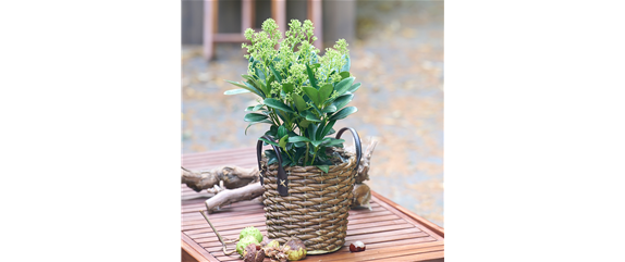 WARME FARBEN, STARKE WIRKUNG! WARME FARBEN, STARKE WIRKUNG!