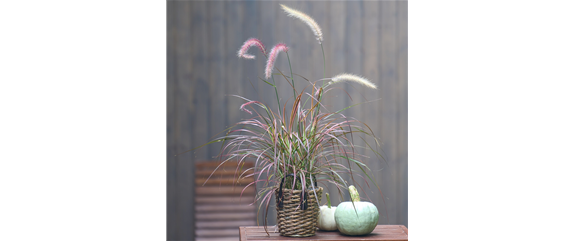 WARME FARBEN, STARKE WIRKUNG! WARME FARBEN, STARKE WIRKUNG!