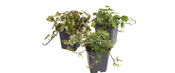 WARME FARBEN, STARKE WIRKUNG! WARME FARBEN, STARKE WIRKUNG!