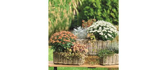 WARME FARBEN, STARKE WIRKUNG! WARME FARBEN, STARKE WIRKUNG!
