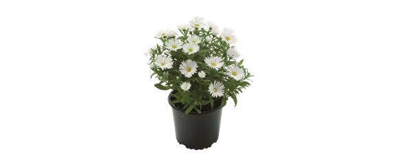 WARME FARBEN, STARKE WIRKUNG! WARME FARBEN, STARKE WIRKUNG!