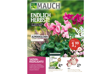 BEILAGE 8 ENDLICH HERBST