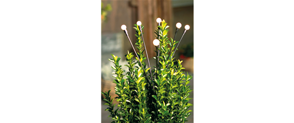 LICHTBLICKE IM WINTER-GARTEN! LICHTBLICKE IM WINTER-GARTEN!