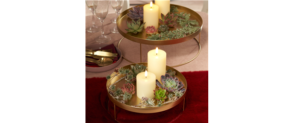 IM GLANZ DER ELEGANZ! IM GLANZ DER ELEGANZ!