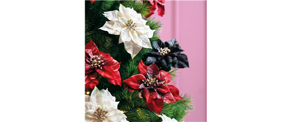 IM GLANZ DER ELEGANZ! IM GLANZ DER ELEGANZ!