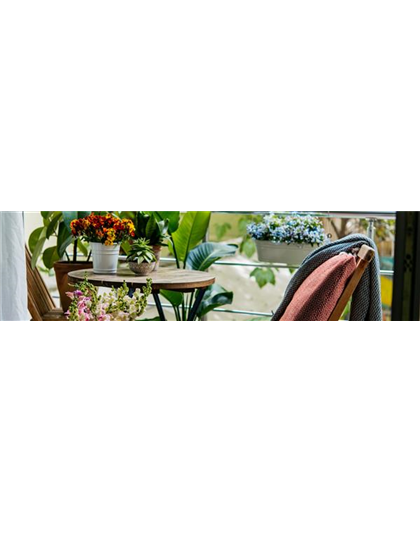 Buch des Monats: Mai!