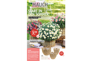 Start in den Sommer 2026