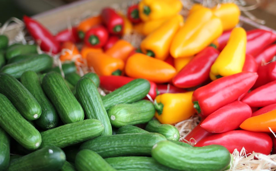 Samstag 18.04. 10-16 Uhr - Gemüse-Verkostung: Lieblingssorte finden und selbst anbauen