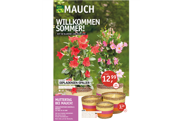 Willkommen Sommer 2026