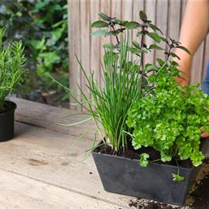 DAS SCHMECKT JA IRRE DAS SCHMECKT JA IRRE