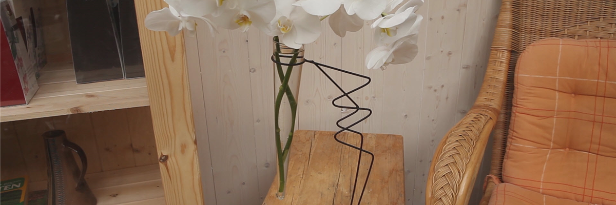 Orchidee - Anschneiden für den Heimgebrauch (thumbnail) Orchidee - Anschneiden für den Heimgebrauch (thumbnail)