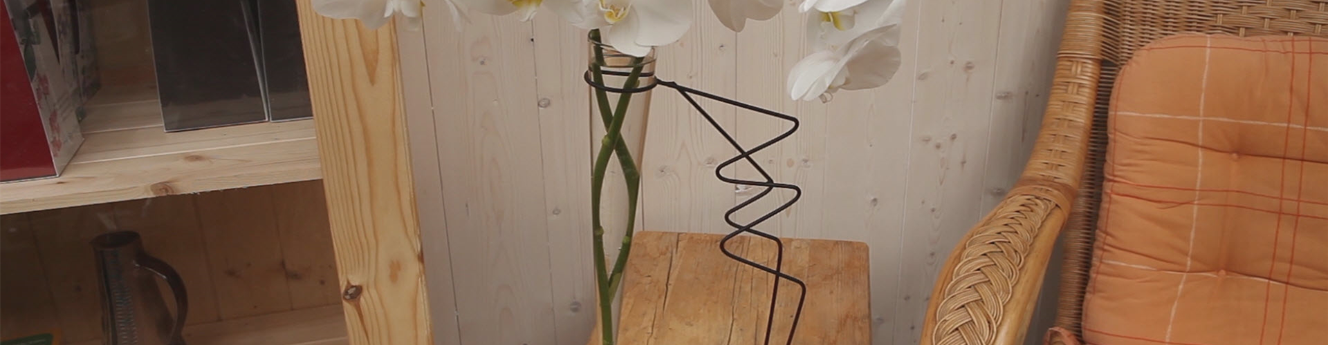 Orchidee - Anschneiden für den Heimgebrauch (thumbnail)