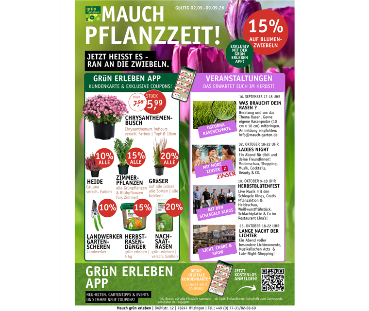 Wochenhit 6