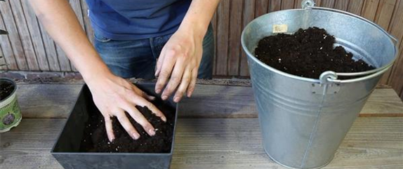 KRäUTERTOPF BEPFLANZEN KRäUTERTOPF BEPFLANZEN