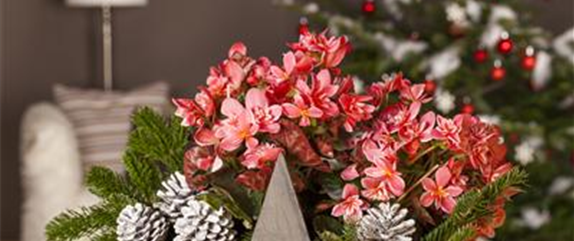 TRADITION DES WEIHNACHTSBAUMS TRADITION DES WEIHNACHTSBAUMS