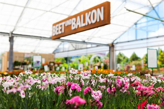 Beet&Balkon_rechtes Bild.jpg