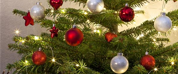 TRADITION DES WEIHNACHTSBAUMS TRADITION DES WEIHNACHTSBAUMS