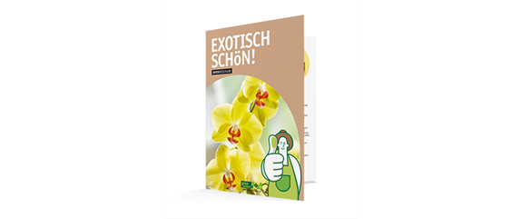 WIE GEHT...ORCHIDEEN UMTOPFEN? WIE GEHT...ORCHIDEEN UMTOPFEN?