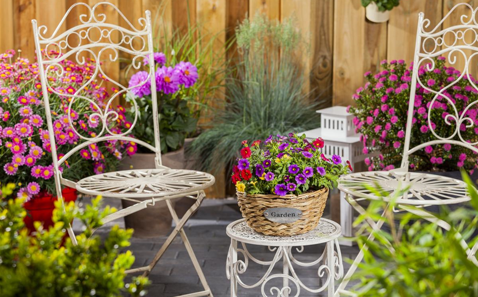 Balkon & Terrasse - Die schönsten Blüten und Blätter! Balkon & Terrasse - Die schönsten Blüten und Blätter!