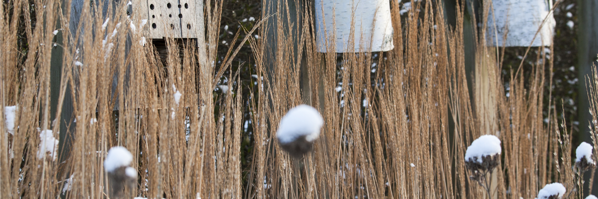 Vogelhaus schneebedeckt