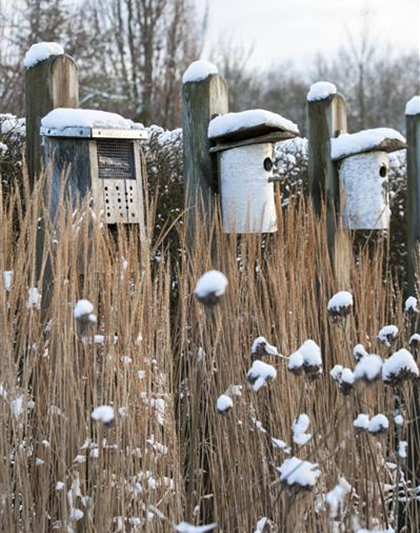 WEIHNACHTLICHE STIMMUNG IM GARTEN