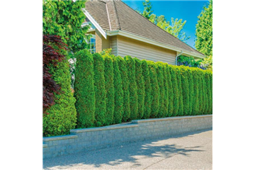 SCHICKE HECKE! SCHICKE HECKE!