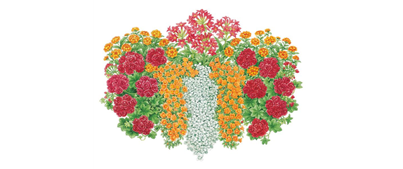 ROTE PFLANZIDEEN ROTE PFLANZIDEEN