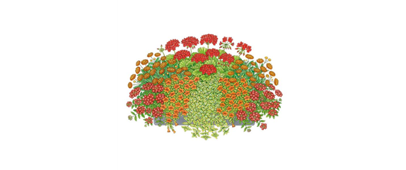 ROTE PFLANZIDEEN ROTE PFLANZIDEEN