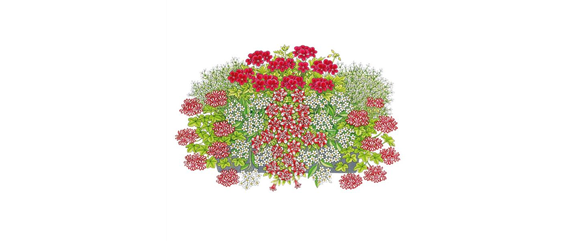 ROTE PFLANZIDEEN ROTE PFLANZIDEEN