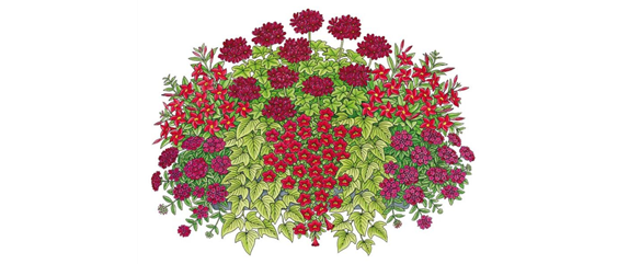 ROTE PFLANZIDEEN ROTE PFLANZIDEEN